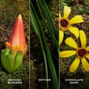 Marc Jacobs Daisy Wild Eau So Extra Eau de Parfum – Gourmand Floral Women's Perfume – With Notes of Banana, Pear Nectar, Vanilla & Amber - Image 5