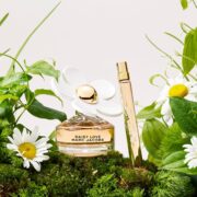 Marc Jacobs Daisy Love Eau de Toilette – Sweet Floral Women's Perfume – With Notes of Crystallized Cloudberries, Daisy Petals & Driftwoods - Image 4