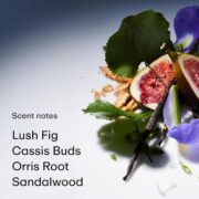 PHLUR Father Figure Eau de Parfum - Full Size Perfume Fragrance - Green Fresh Fig Perfume with Iris, Jasmine, Patchouli, Sandalwood & Vanilla (50mL) - Image 4