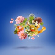 Xerjoff Torino 24 Eau de Parfum, 50ml / 1.7 fl oz – Fresh Aromatic Sport Scent (Citrus, Herbs, Woods) - Image 8