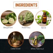 Woody's Cologne for Men - Refreshing & Long-Lasting Fragrance Scent, Masculine Citrus Notes, Men's Cologne for Everyday Wear, 3.4 fl oz - Image 5