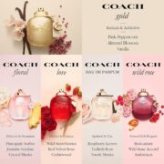 COACH - Gold Parfum - Women's Perfume - Ambery Floral - With Notes of Pink Peppercorn, Almond Blossom & Vanilla - Image 4