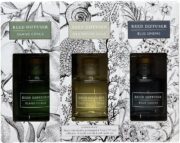 Bellevue Reed Diffuser Set, Three 6 fl oz Glass Filled Diffuser, Highly Concentrated Fragrances with Essential Oils, Home Fragrance (Island Citrus, Driftwood Sand, Blue Linens) - Image 3