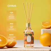 Airkeep Reed Diffuser Oil Set with Reed Sticks,Citrus Aromatherapy Oil Scent Diffuser for Home Office Bathroom Decoration Perfume and Gifts 3.38oz/100ml - Image 3