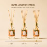 Airkeep Reed Diffuser Oil Set with Reed Sticks,Citrus Aromatherapy Oil Scent Diffuser for Home Office Bathroom Decoration Perfume and Gifts 3.38oz/100ml - Image 9