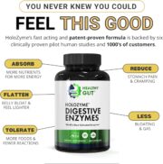 Healthy Gut HoloZyme Max Strength Digestive Enzymes | FODMAP-Friendly Formula Prevents Bloating, Gas, & Indigestion w/Protease, Amylase, Lipase, Lactase, and More | 90 Servings - Image 6