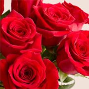 1800 Flowers – 12 Stem Red Roses (Bouquet Only) | Fresh Cut Spring Flowers for Delivery | Gift for Easter, Anniversary, Sympathy, and Special Occasions - Image 3