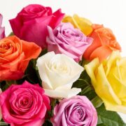 1800 Flowers – 24 Stem Assorted Bright Roses (Bouquet Only) | Fresh Cut Spring Flowers for Delivery | Gift for Easter, Anniversary, Sympathy, and Special Occasions - Image 3