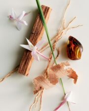 Maison Louis Marie - No.04 Bois de Balincourt Natural Roll-On Perfume Oil | Luxury Clean Beauty + Non-Toxic Fragrance (0.5 fl oz | 15 ml) - Image 3