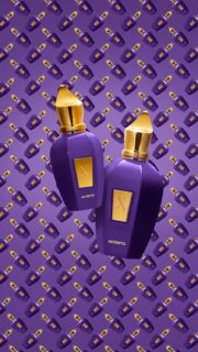 Xerjoff V Accento Eau de Parfum, 50ml / 1.7 fl oz – Fruity Floral Unisex Perfume (Pineapple, Iris, Musk) - Image 5