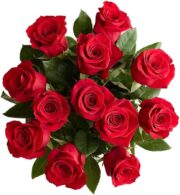 1800 Flowers – 12 Stem Red Roses (Bouquet Only) | Fresh Cut Spring Flowers for Delivery | Gift for Easter, Anniversary, Sympathy, and Special Occasions - Image 2