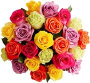 1800 Flowers – 24 Stem Assorted Bright Roses (Bouquet Only) | Fresh Cut Spring Flowers for Delivery | Gift for Easter, Anniversary, Sympathy, and Special Occasions - Image 2