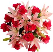 1800 Flowers – Magnificent Pink Roses & Asiatic Lily Single Bouquet (Bouquet Only) | Fresh Cut Spring Flowers for Delivery | Gift for Easter, Anniversary, Sympathy, and Special Occasions - Image 2