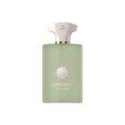 AMOUAGE MEANDER Eau de Parfum - Universal Fragrance for Women and Men - Image 2