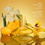 Calvin Klein Euphoria Solar Elixir Parfum Intense worn by Rosalia – Ambery Perfume for Women – With Mango, Golden Orchid, Vanilla & Cedarwood – Long-Lasting Fragrance - Image 3