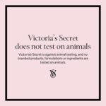 Victoria's Secret Bare Vanilla Mist & Lotion Set - Image 7