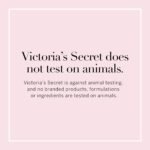 Victoria's Secret Mist Collection 12 Piece Travel Mist Gift Set - Image 5