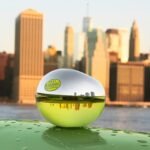 DKNY Be Delicious Eau de Parfum Discovery Set: Perfume, Deodorant Stick - Image 3