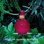 Britney Spears™ Fantasy Intense, Eau De Parfum Intense EDPI Spray for Women, 3.3 Fl Oz / 100mL - Image 6